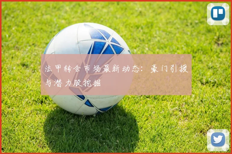 法甲转会市场最新动态：豪门引援与潜力股挖掘