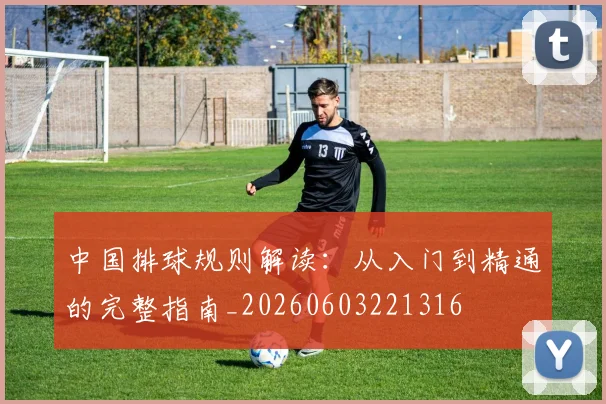 中国排球规则解读：从入门到精通的完整指南_20260603221316