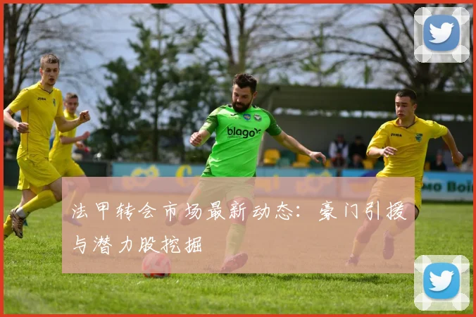 法甲转会市场最新动态：豪门引援与潜力股挖掘